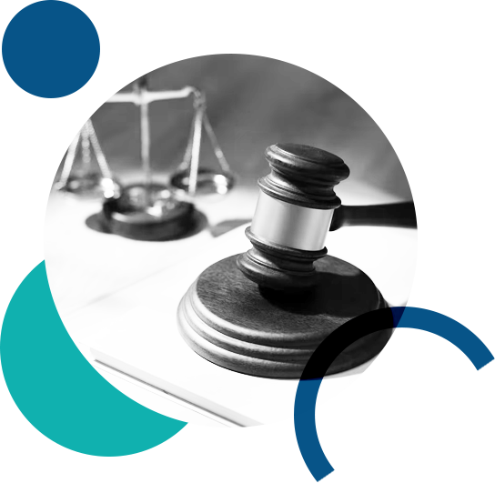 Programa Amicus Pro Bono