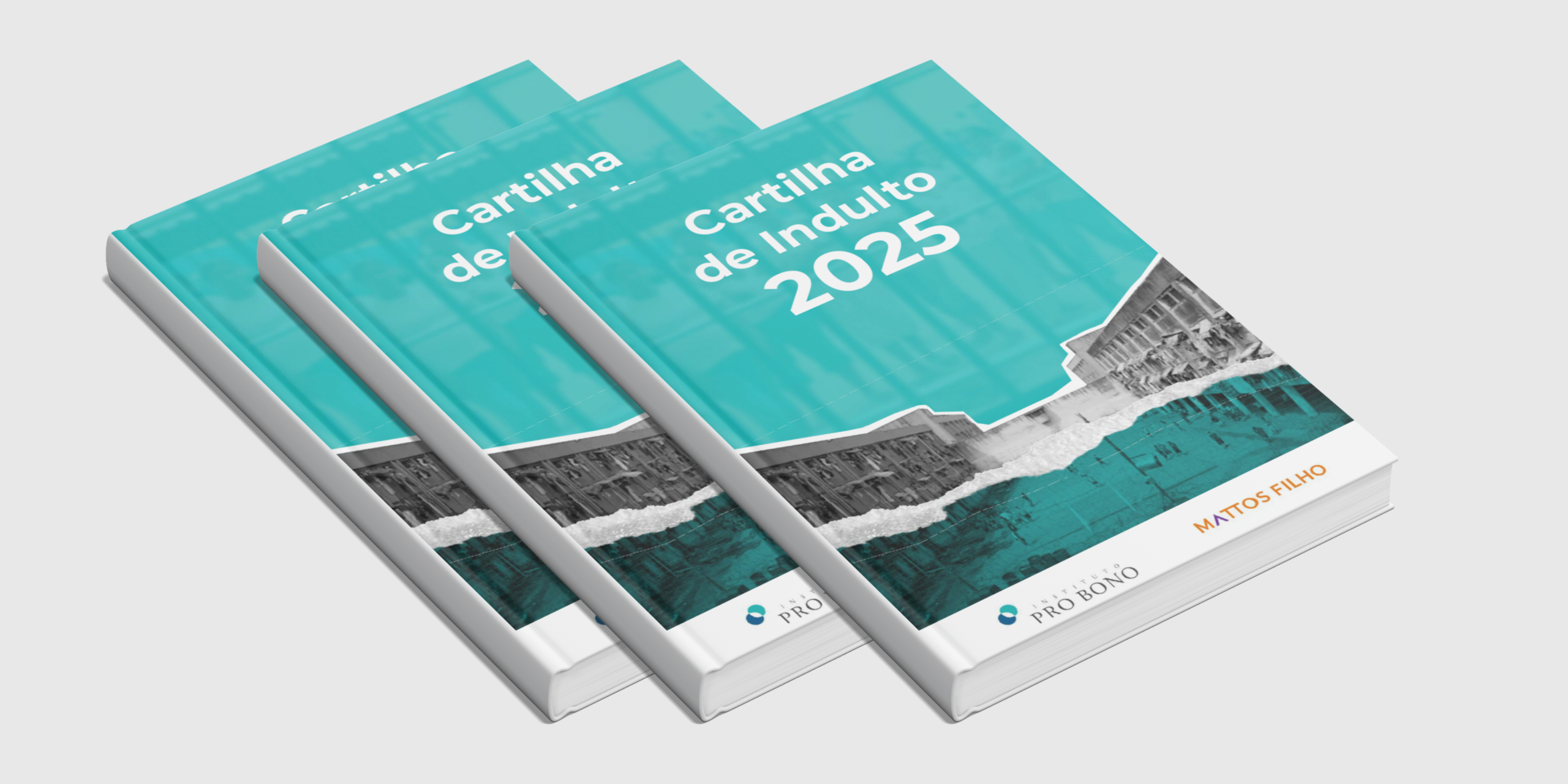 Cartilha de indulto | 2025